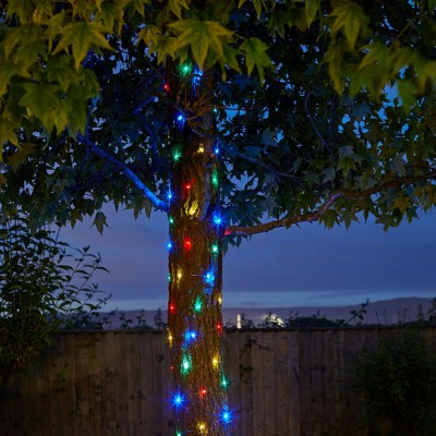 100 Firefly String Lights Multi-colour