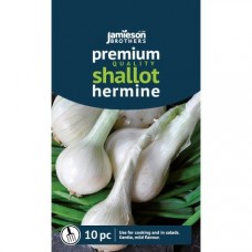 Onion Shallot Hermine