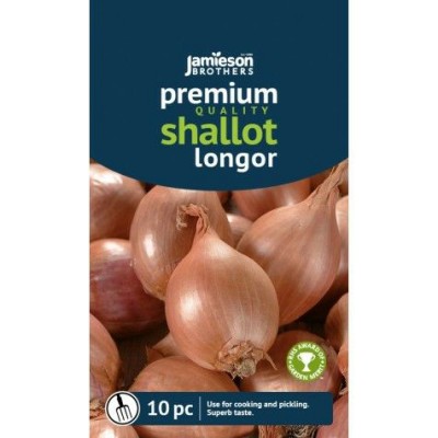 Onion Shallot Longor