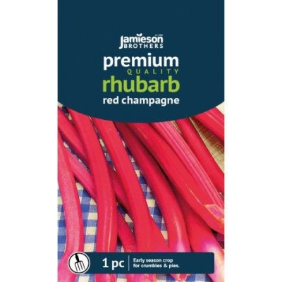 Rhubarb Red Champagne