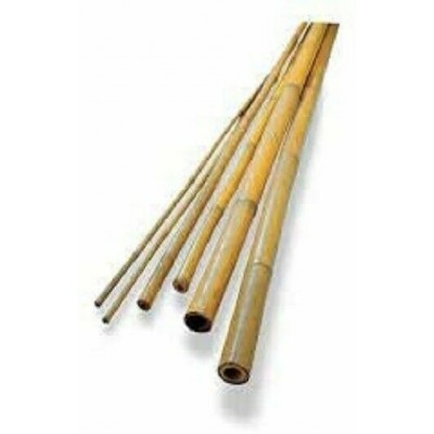 Bamboo Cane 6Ft (180cm)