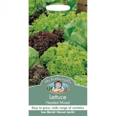 Lettuce Headed Mixed MF Veg Seeds