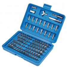 Screwdriver Bit Set (100 Piece)