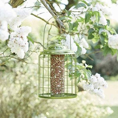 Premier Squirrel Proof Peanut Feeder