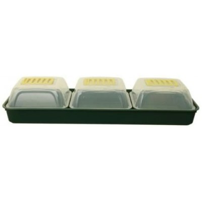 Windowsill Propagator Set Green