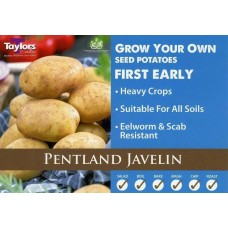 Seed Potatoes Pentland Javelin 2Kg