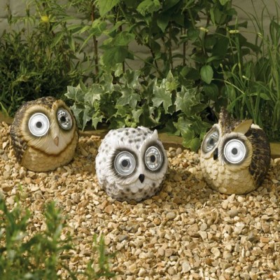 Bright Eye Owls