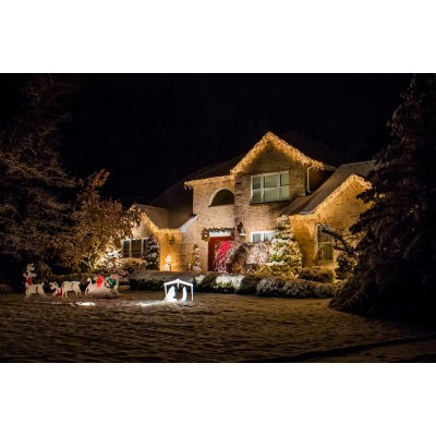 240 Firefly Icicle LED Lights