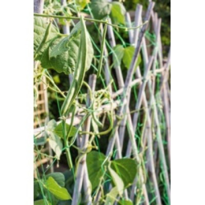 Pea & Bean Netting 10X2Mtr