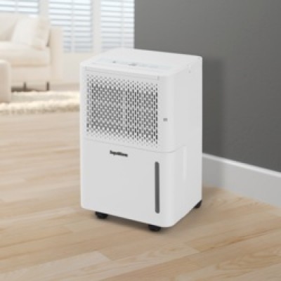 10L 250 Watt Dehumidifier