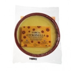 Citronella Party Lights