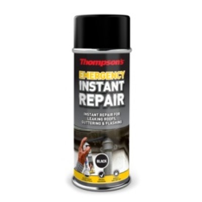 INSTANT REPAIR SPRAY 450G