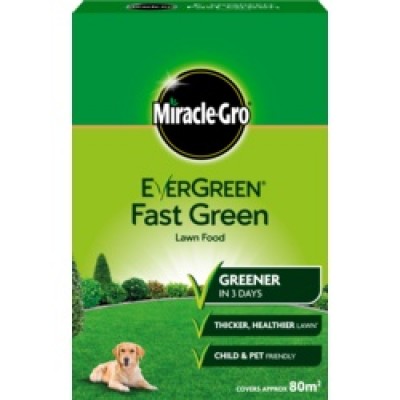 Eve Fast Green 80m2 Lawn Food
