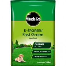 Eve F/Green 200m2 Lawn Food