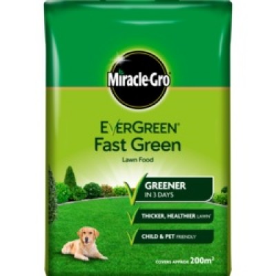 Eve F/Green 200m2 Lawn Food