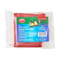 Suet Block With Berry