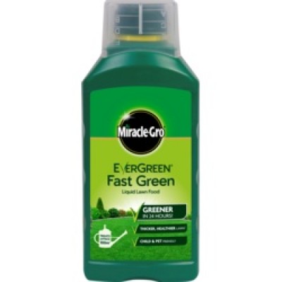EVERGREEN LAWN FOOD CON 1L