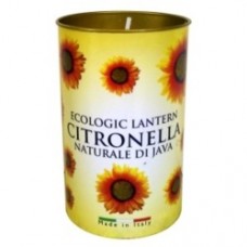 Price's Candles Citronella Fragrant Lantern