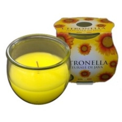CITRONELLA cluster pk