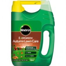 Evergreen Autumn Lawn Care 100SqMtr