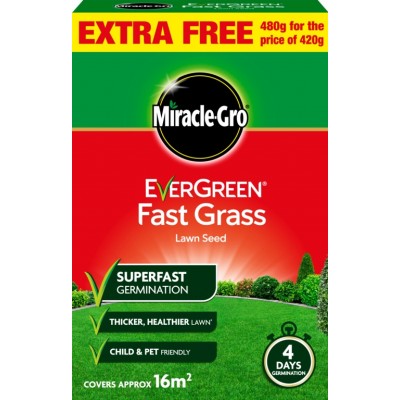 Evergreen Fast Grass 16m2