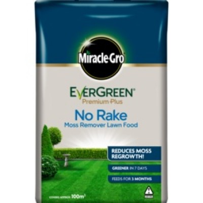 E/GRN NO RAKE/NO MOSS 100M2