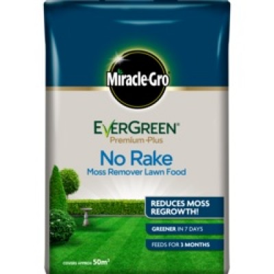 E/GREEN NO MOSS/NO RAKE 50M