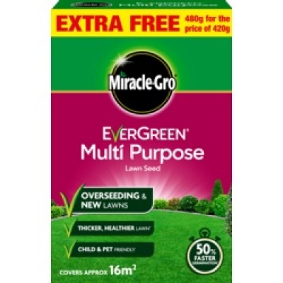 Eve M/Purp Grass Seed 16m2