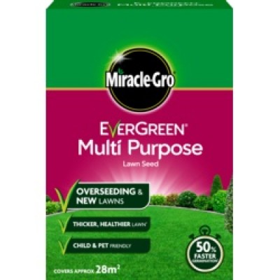 Eve M/Purp Grass Seed 28m2