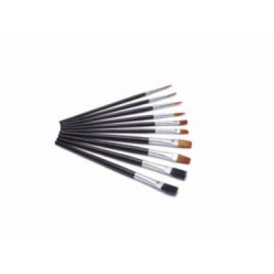 Flat Artist Paint Brushes Pack 10