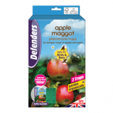 Defenders Apple Maggot Trap