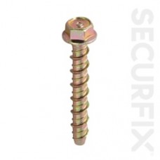 Securfix Concrete Bolt 10 Pack M10 x 100mm