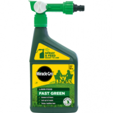 EVERGRN SPRAY FD RTU 1LTR