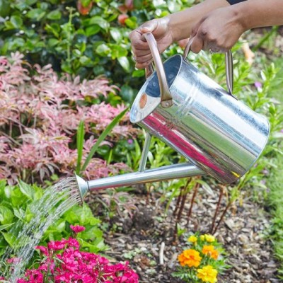 Watering Can - Galvanised 4.5L