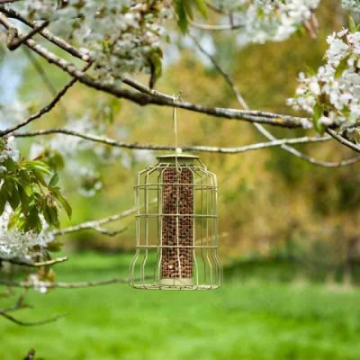 Seed Feeder Squirrel Proof