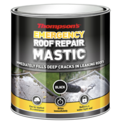 Thompsons Trowel Mastic Black 750ml