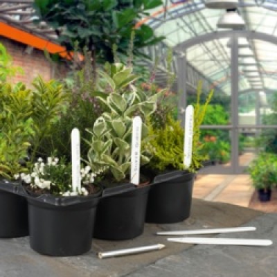 PLANT LABELS 50PK