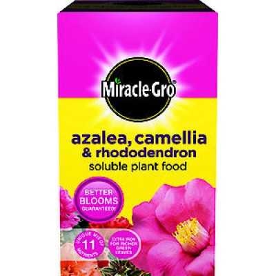 1kg Azalea, Camellia & Rhododendron Solub