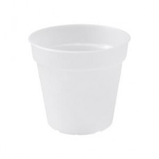 ELHO GRN BSC ORCH 17CM TRANS D76752