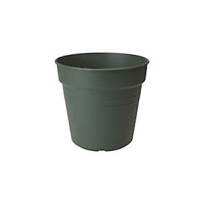 11CM GREEN POT