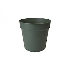 grow pot 24cm