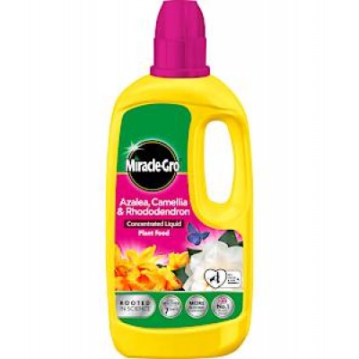 M-Gro Ericaceous Plant Food 800ml
