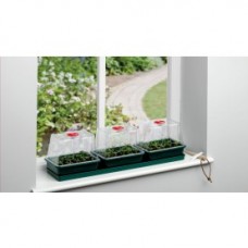 Three Top Window sill Propagator